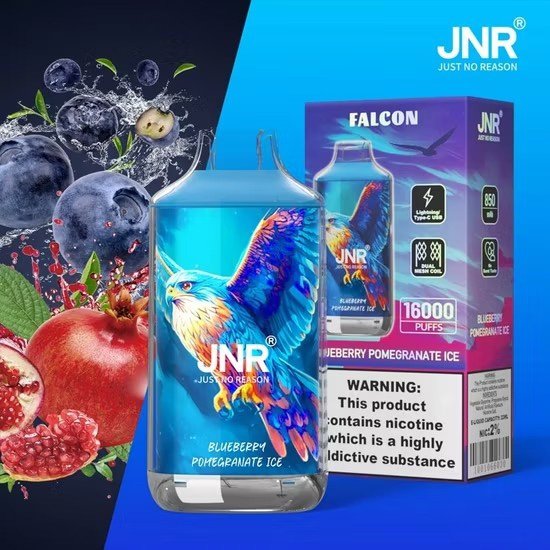 Disposable Electronic Cigarette Box JNR Falcon 16000 Vape Puffs – Sale only in batches of 200 Units (Minimum Order) thumbnail
